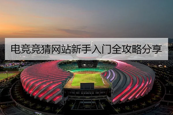 电竞竞猜网站新手入门全攻略分享